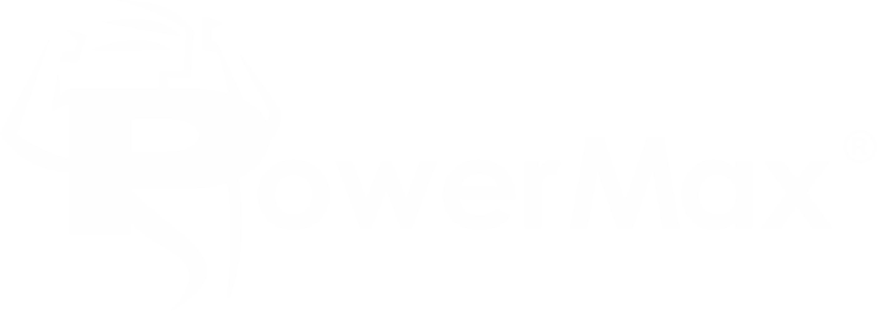 PowerMax Logo