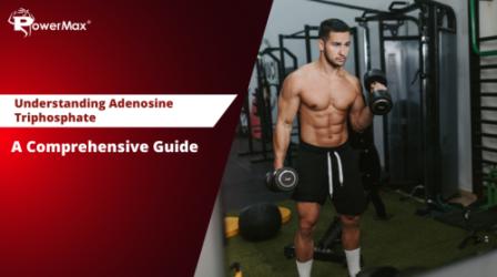 Understanding Adenosine Triphosphate (ATP): A Comprehensive Guide