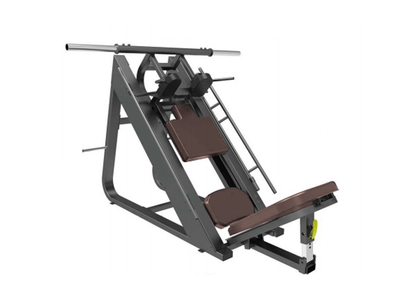 DS-020 Leg Press with Hack Squat